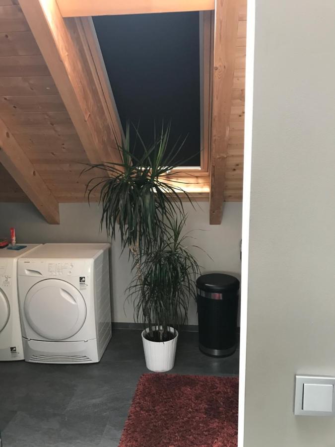 Apartment Mit Dachloggia Саарлуис Экстерьер фото